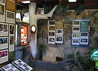 Inside the Visitors Center