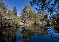 Reflections at the Waterhole